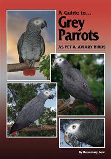 ABK A Guide to Grey Parrots as Pet & Aviary Birds (Soft Cover)