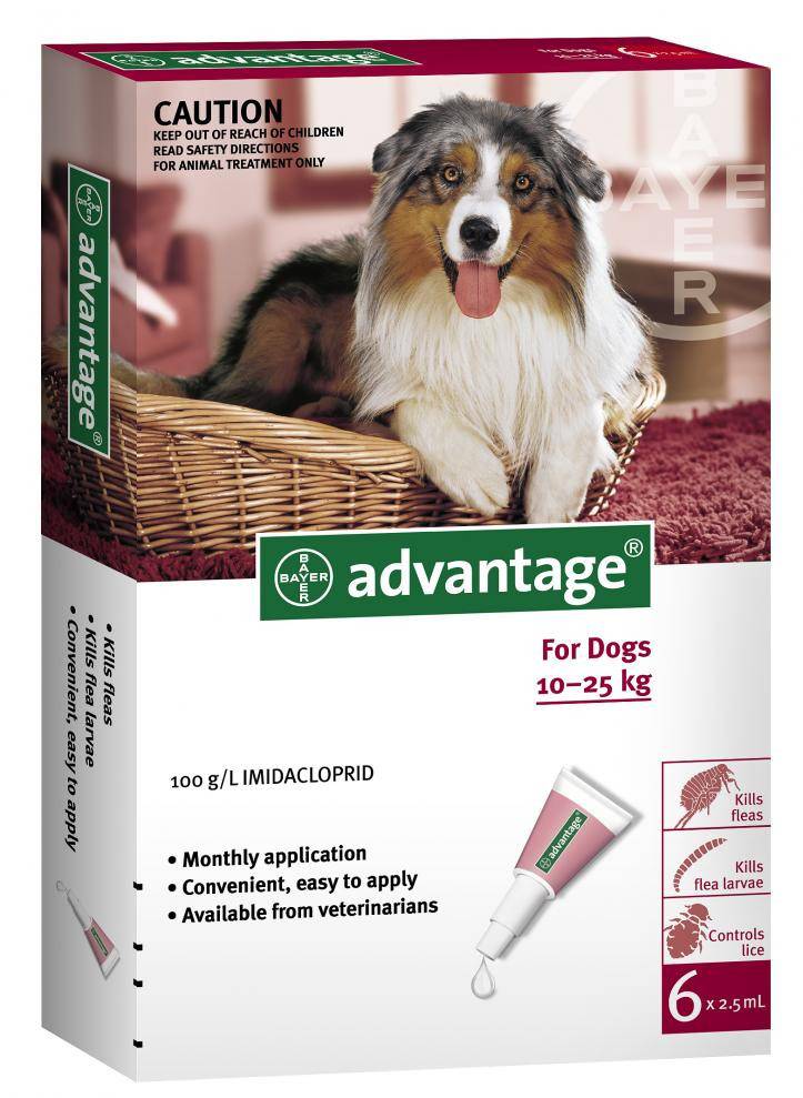 Advantage Large Dog 10-25kg + 6 months