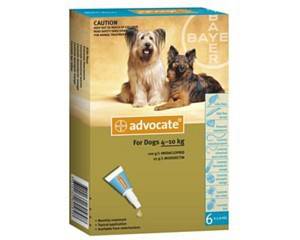 Advocate Medium Dog 4-10kg 6 months
