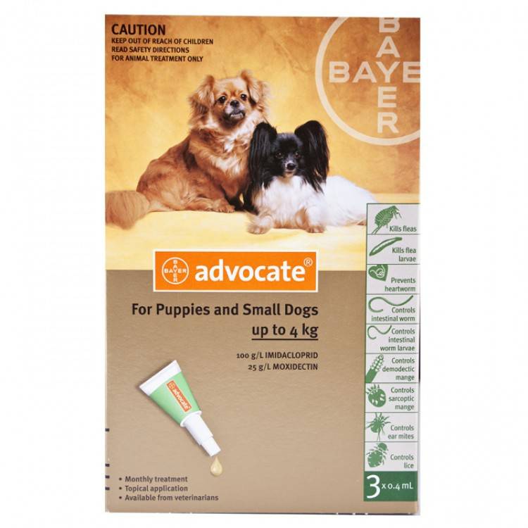 Advocate Small Dog 0-4kg 3 months