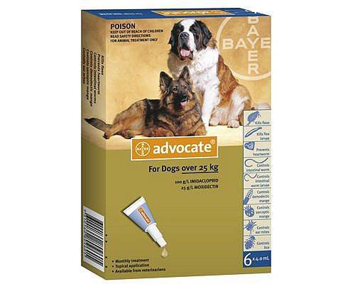 Advocate X-Large Dog 25kg+ 6 months