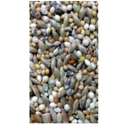 Avigrain Budgie Blue Bird Seed Mix 20 Kg - Image 3