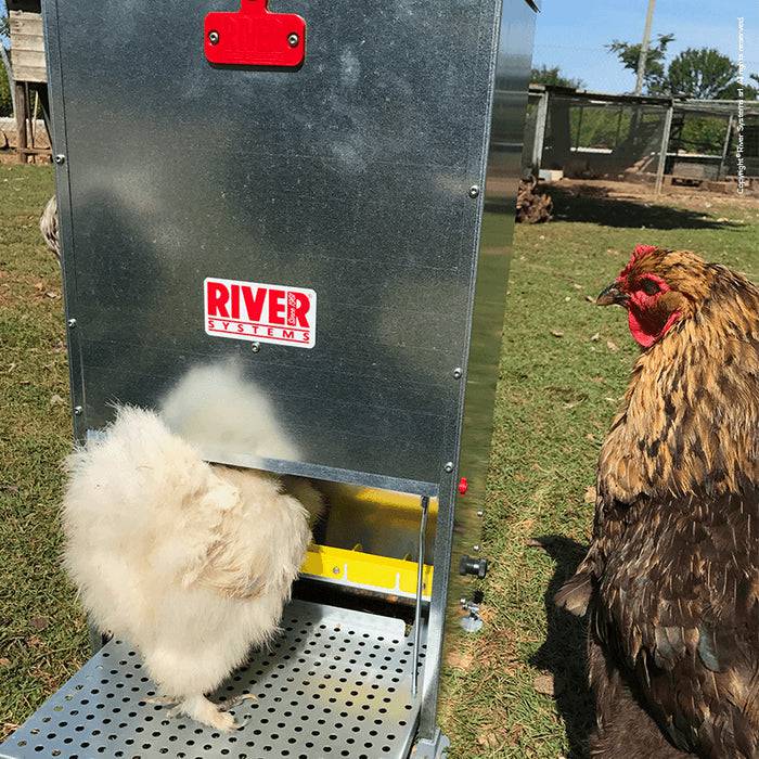 Bainbridge Supreme Treadle Automatic Chicken Feeder - Image 2