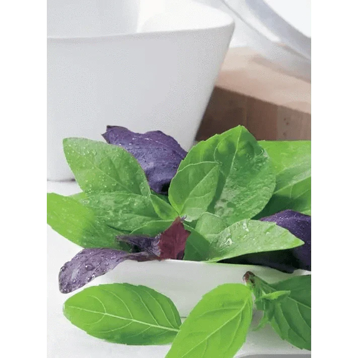 Yates Basil Seeds - Image 2