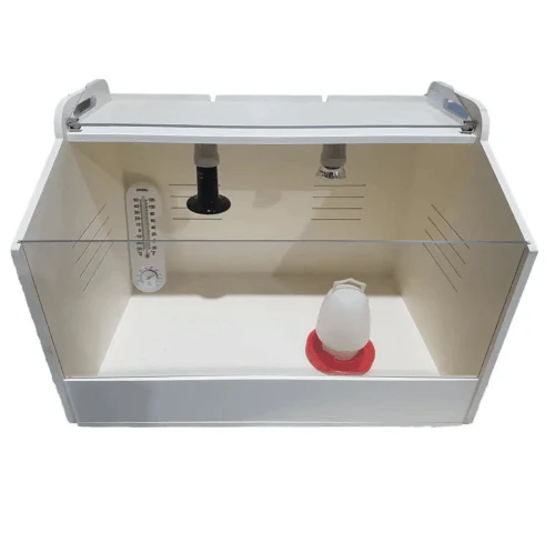Bird Brooder Kits - Image 3
