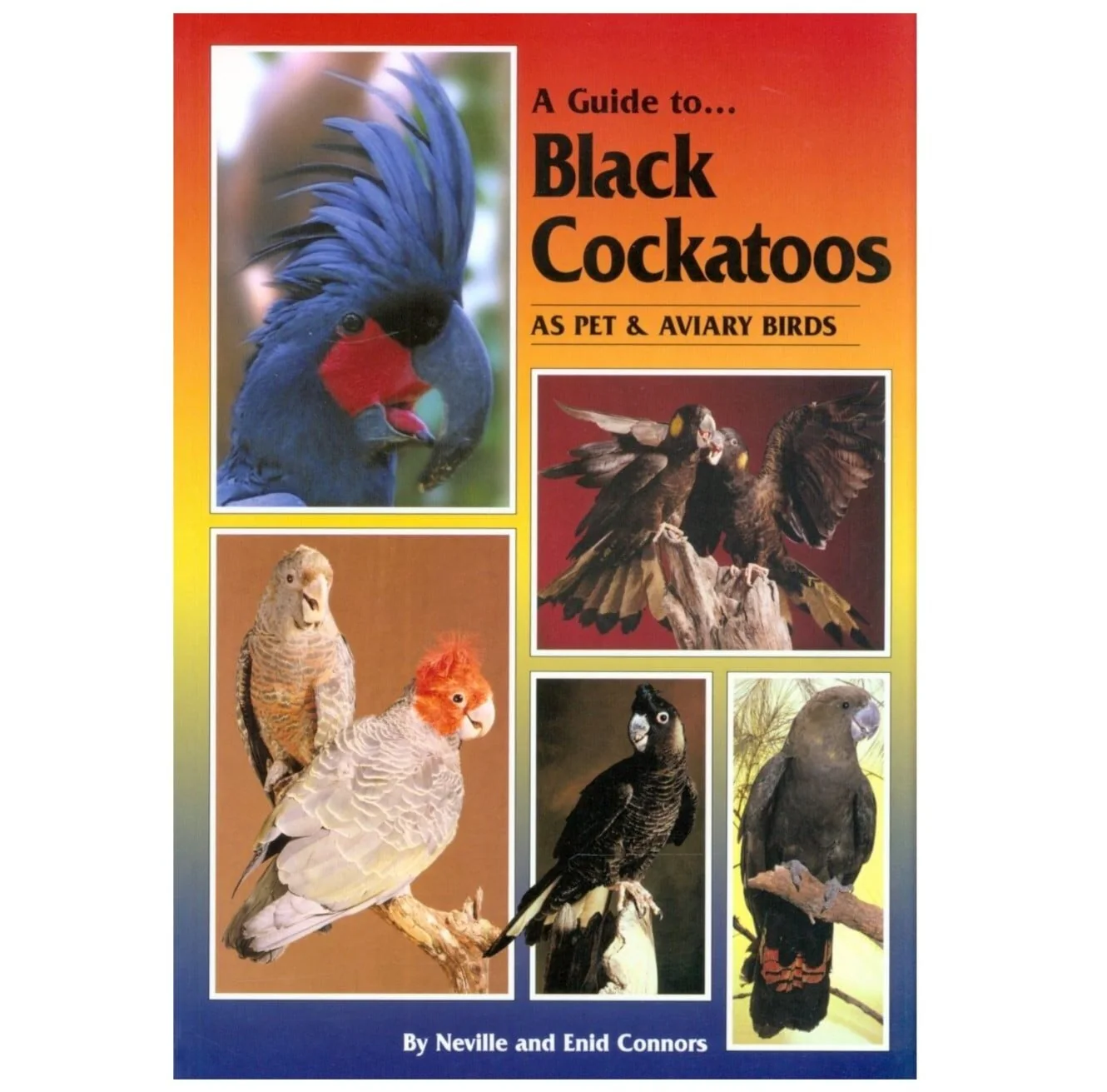 ABK A Guide to Black Cockatoos as Pet & Avairy Birds | SOFT COVER