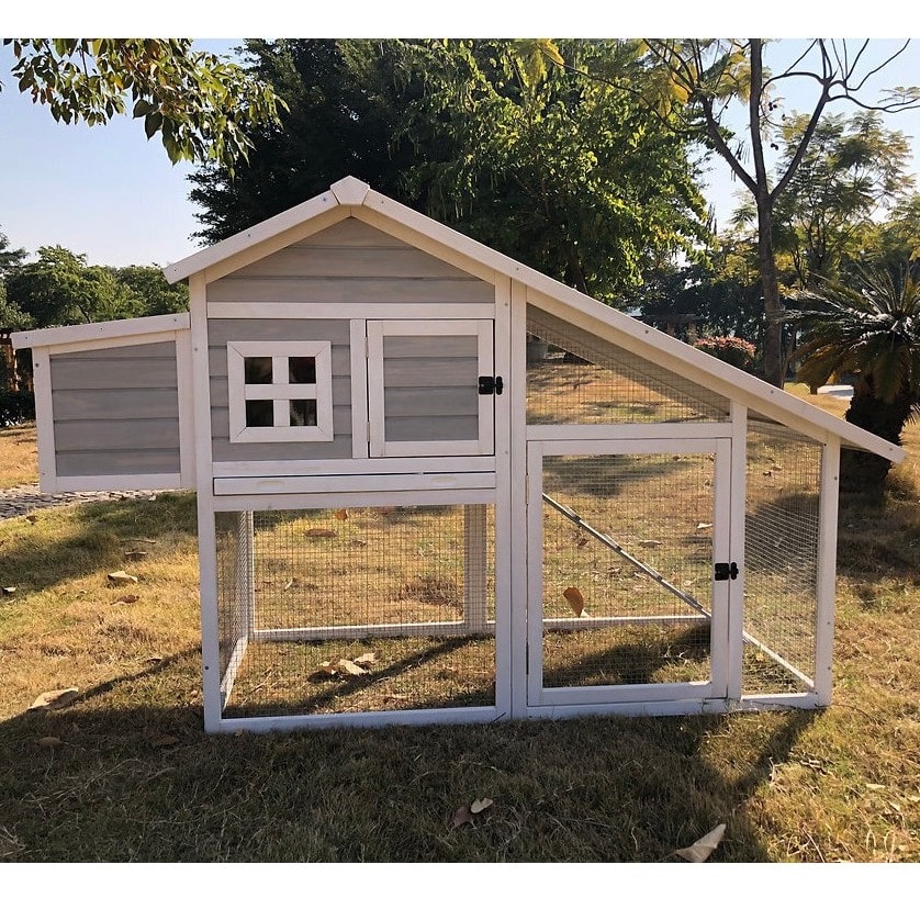 Bono Fido Hamlet Chicken Coop - Image 2