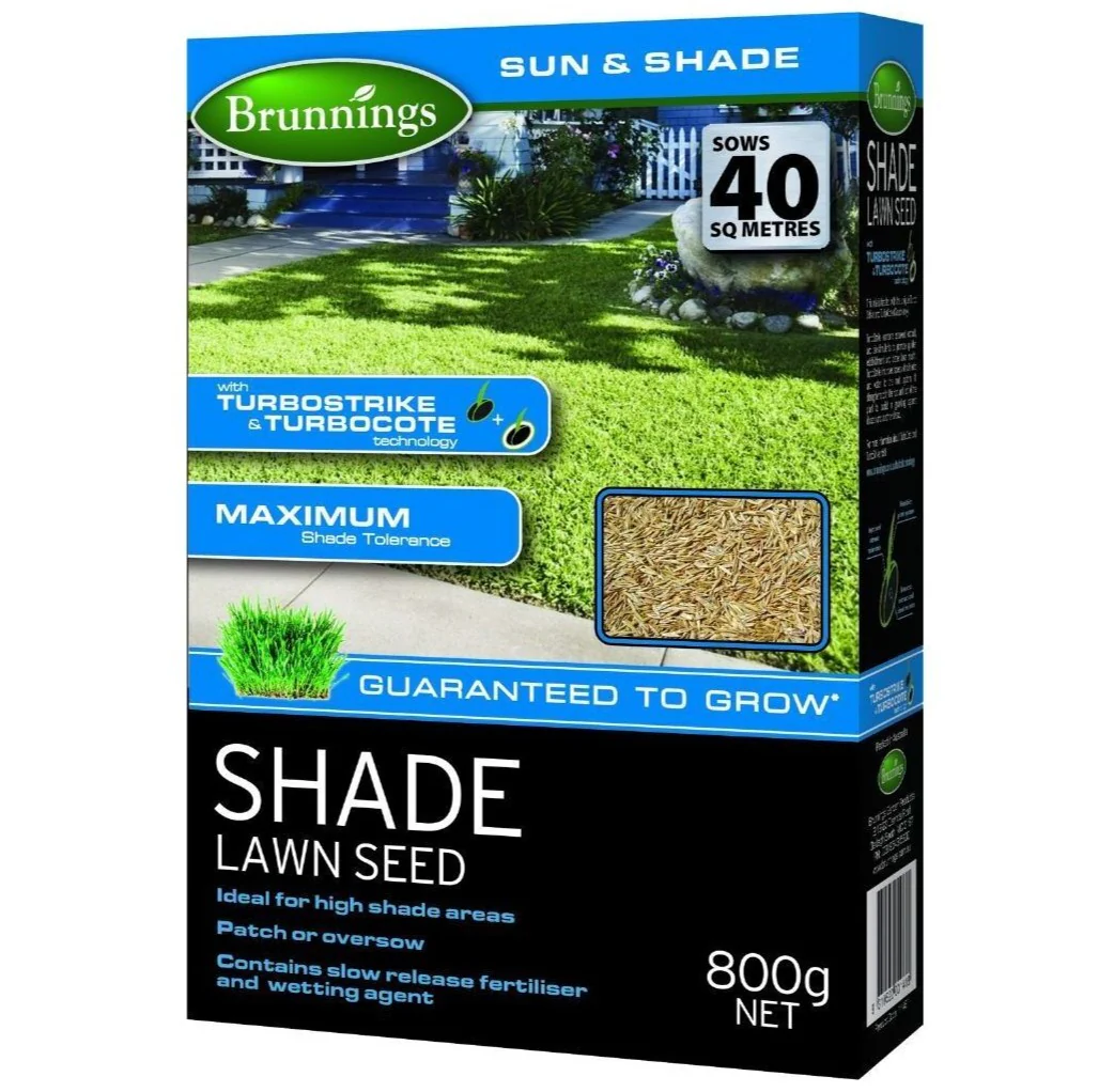 Brunnings Shade Lawn Seed 800g