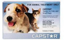 Capstar Cat & Small Dog 6 Tablets