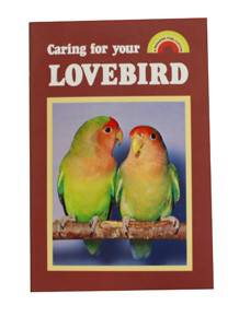 Caring For Your Lovebird (PP)