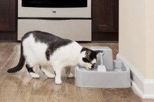 Drinkwell Original Pet Fountain 3.7L - Image 2