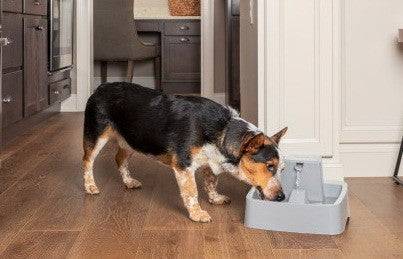 Drinkwell Original Pet Fountain 3.7L - Image 3