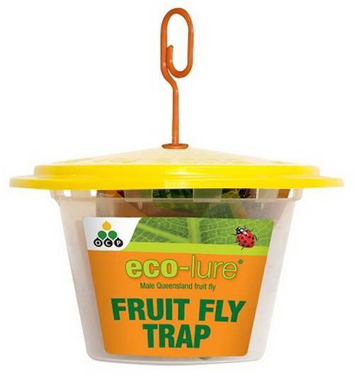 Eco-lure Fruit Fly Trap (OCP)
