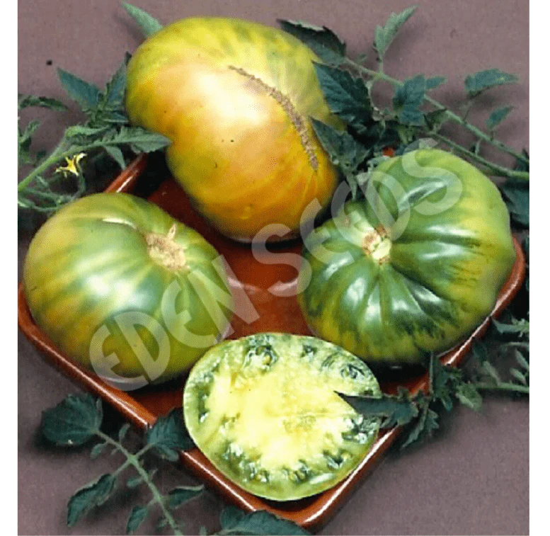 Eden Tomato Seeds - Image 2