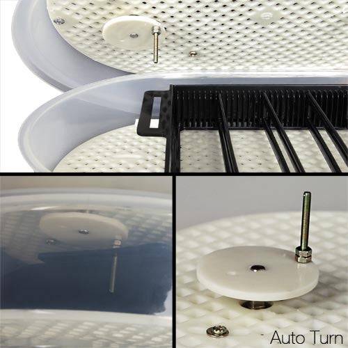 Egg Incubator, Fits 12 Chicken Eggs, Fully Automatic (JN12) - Image 8