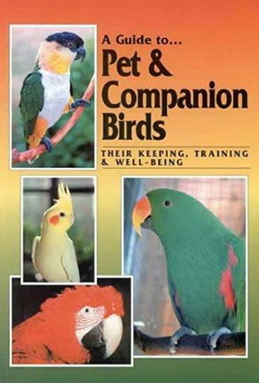 ABK A Guide to Pet & Companion Birds (Book) (DISC)