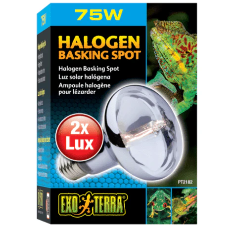 Exo Terra Halogen Basking Spot Lamp - Image 4