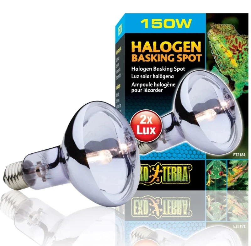 Exo Terra Halogen Basking Spot Lamp - Image 6