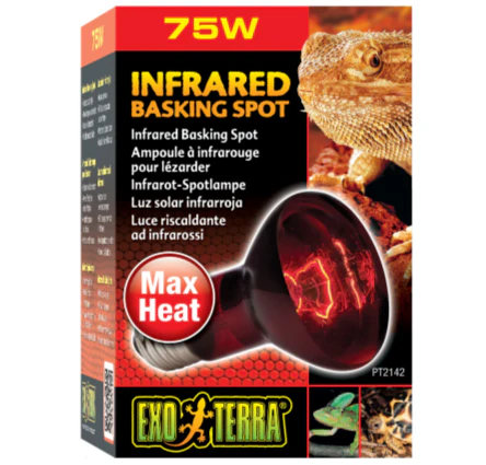Exo Terra Heat Glo Infrared Heat Lamp - Image 4