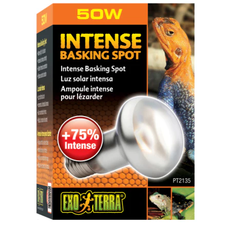 Exo Terra Intense Basking Spot Lamp