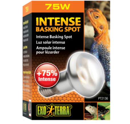 Exo Terra Intense Basking Spot Lamp - Image 4
