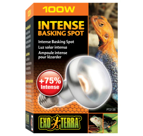 Exo Terra Intense Basking Spot Lamp - Image 5