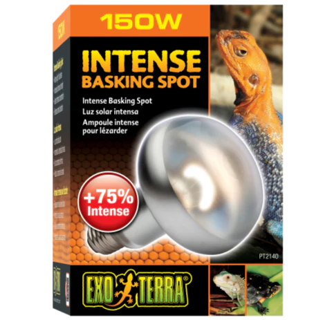 Exo Terra Intense Basking Spot Lamp - Image 6