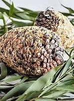 Forage Pinecone Treat MEDIUM BIRD
