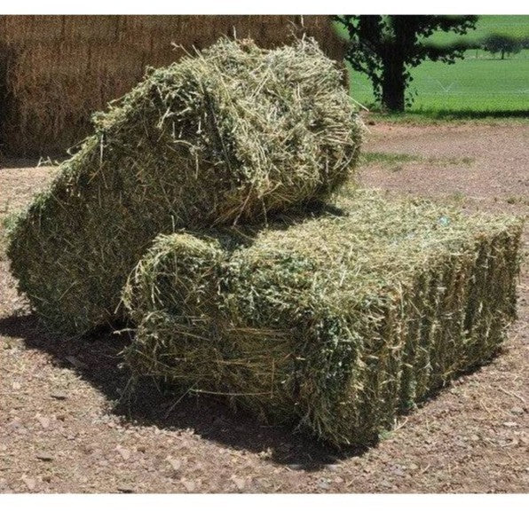 Garden Lucerne Hay Bales ( 1 to 3 Bales)