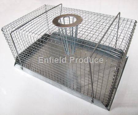 Humane Mouse Trap - Large Top Entry (20cm) - Image 2