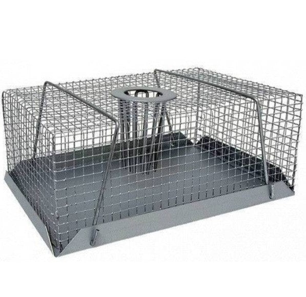 Humane Mouse Trap - Large Top Entry (20cm)