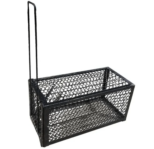 Humane Live Catch Rat Trap BLACK (EP)