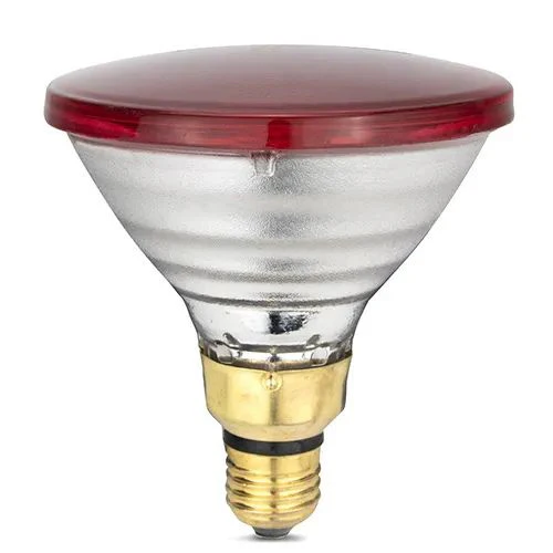 Infrared Heat Lamp Bulb For Chickens RED (Bainbridge) - Image 5