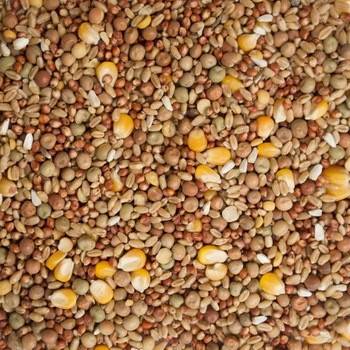 JM Pigeon Stock Mix 25 Kg