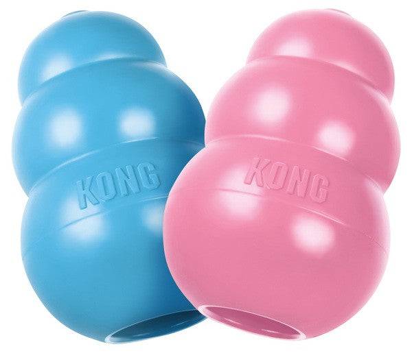 Kong Puppy