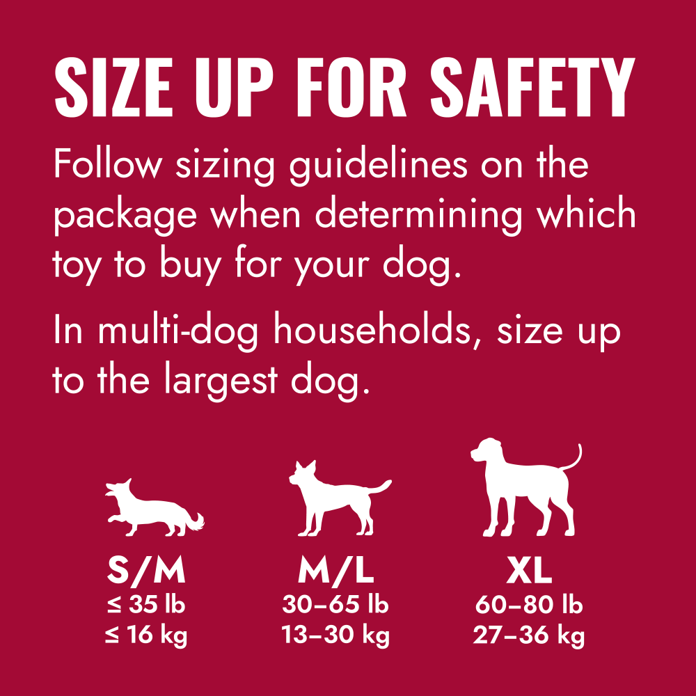 Kong Ring Dog Toy - Image 2