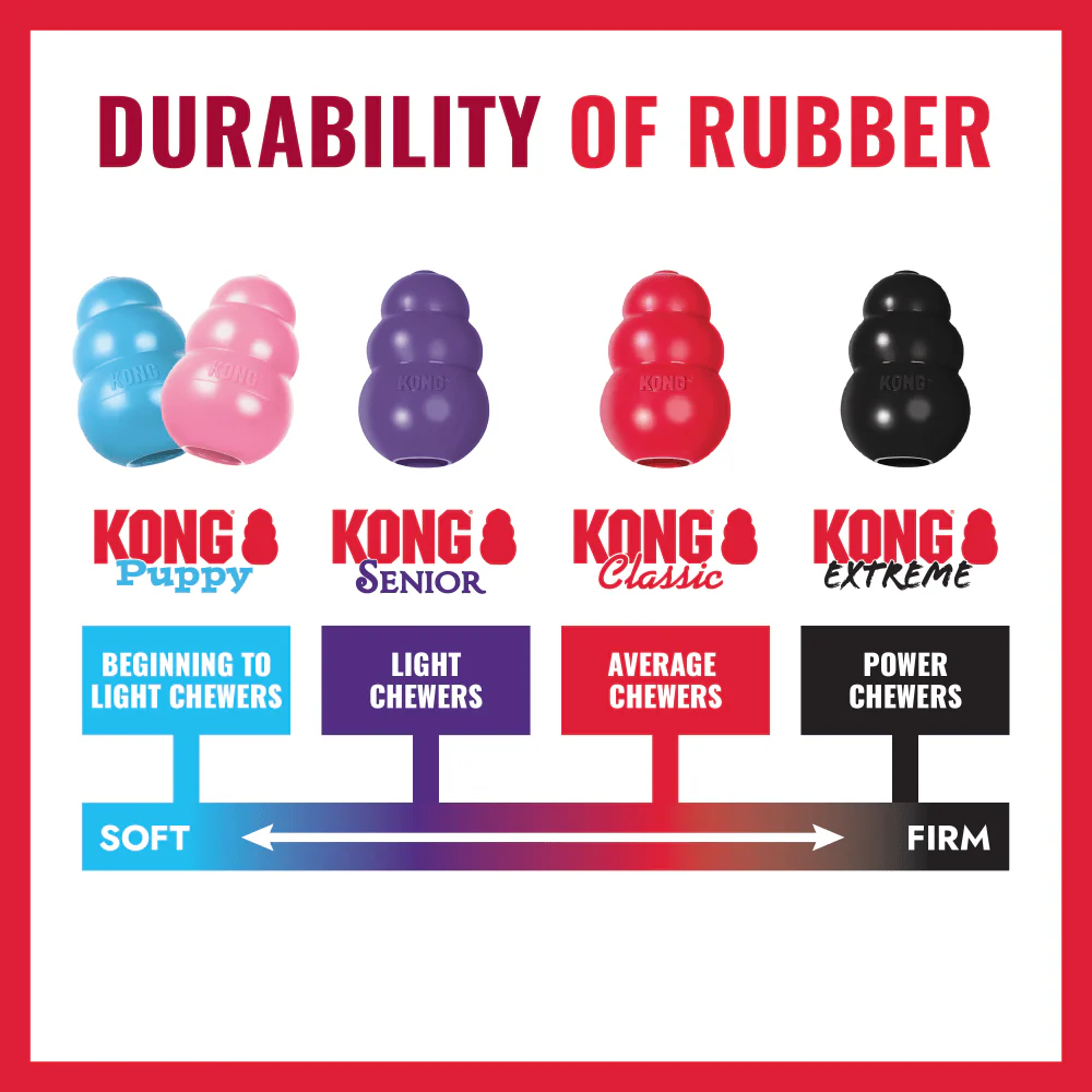 Kong Ring Dog Toy - Image 4