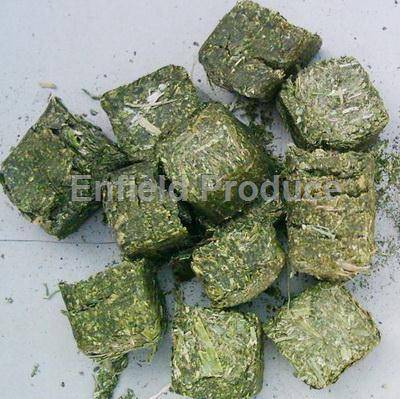 Lucerne Cubes 1kg Pack