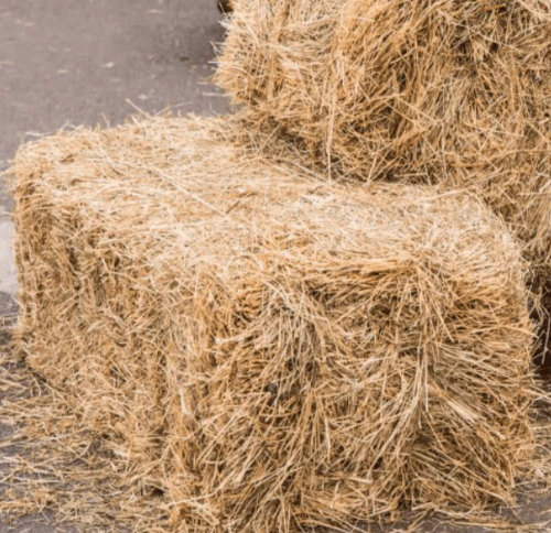 Meadow Hay Bales