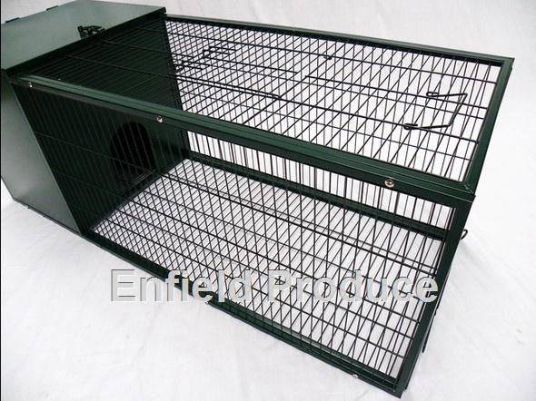 Metal Rabbit Hutch 1.2m (Dark Green) - Image 5