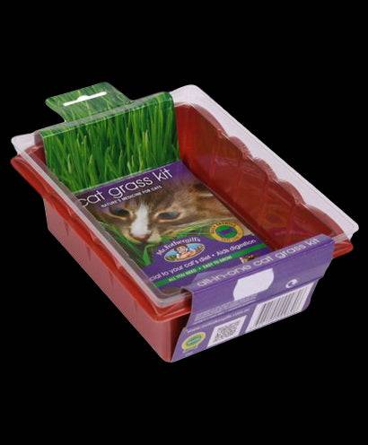 Mr Fothergills All In One Cat Grass Kit - Image 2
