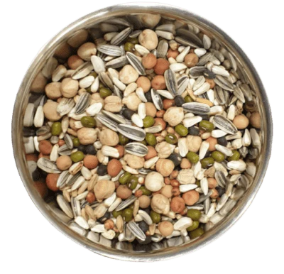 Murphy's Sprouting Seed Mix for Birds