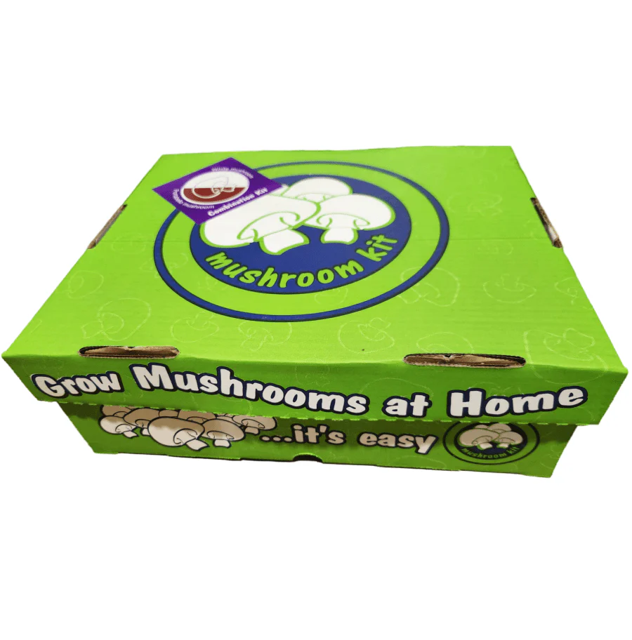 Mushroom Grow Kit | Combination