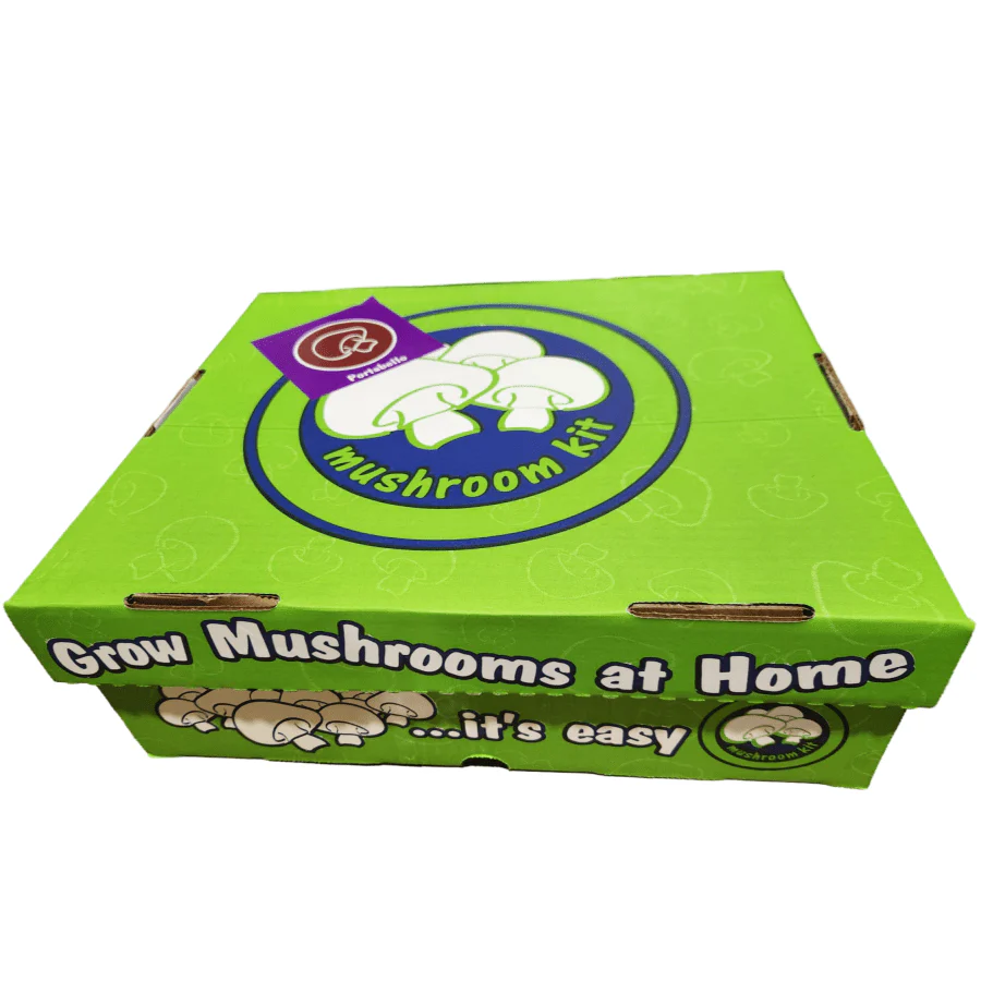Mushroom Grow Kit | Portabello