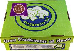 Mushroom Grow Kit | Portabello - Image 2