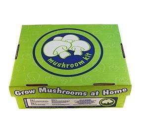Mushroom Grow Kit | White Button - Image 3