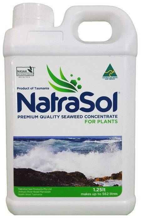 Natrasol Seaweed Concentrate (High Strength)