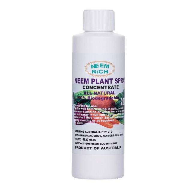 Neem Plant Spray Concentrate (Neem Rich)