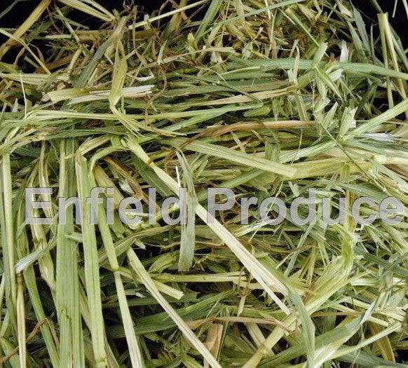 Oaten Hay Bag 2kg