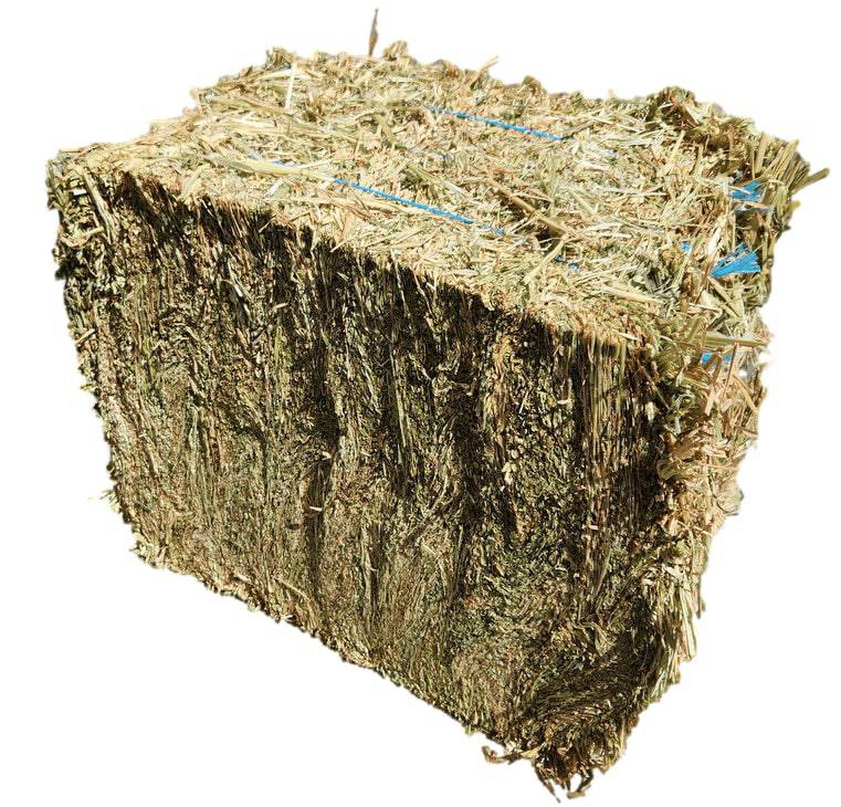 Oaten Hay Bale Compressed (LARGE SIZE) (Regional NSW & Interstate)